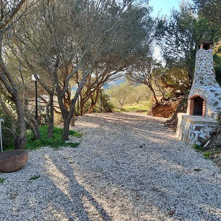 Valle Del Cedrino Galtellì