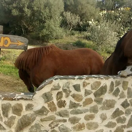 Hotell Valle Del Cedrino