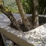 Valle Del Cedrino 2*