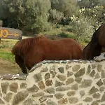 Hotel Valle Del Cedrino