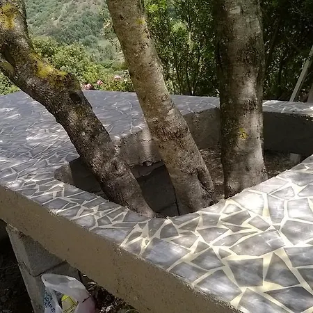 Valle Del Cedrino 2*