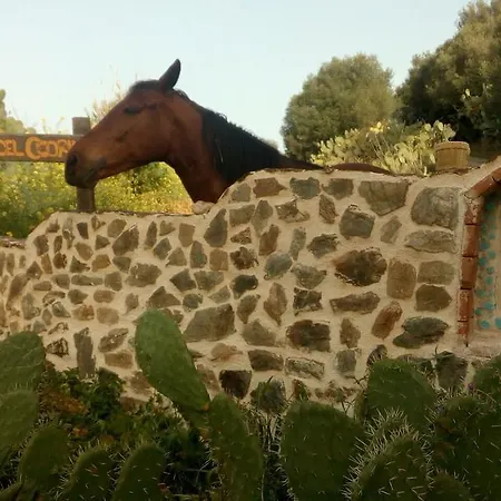 Valle Del Cedrino 호텔 2*