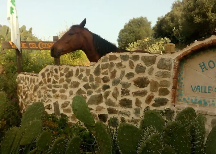 Valle Del Cedrino Szálloda 2*